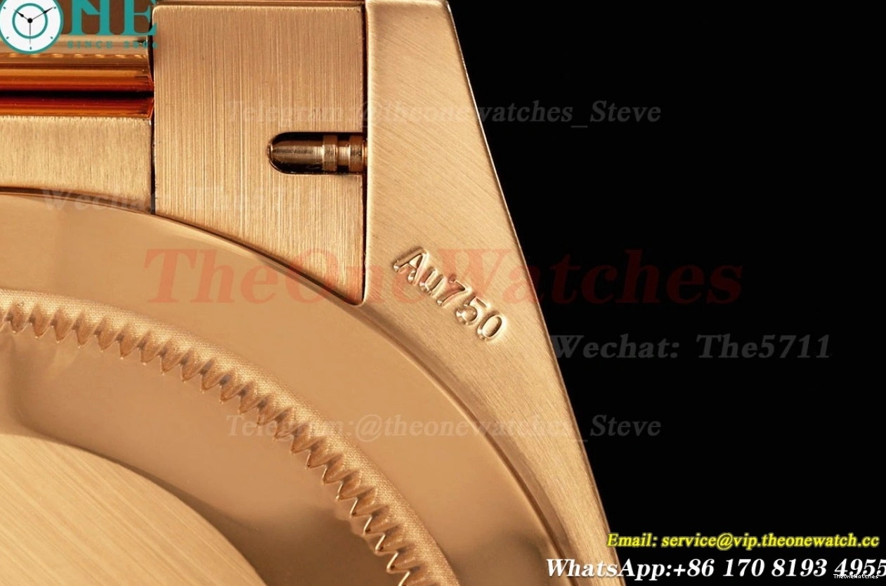 SH3255(Tungsten 40mm THBF Grey Dial Heavy RG RG Version) DayDate 228235 0420